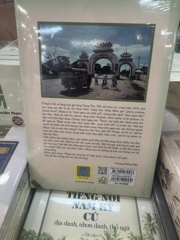 📖 TIẾNG NÓI NAM KỲ CŨ – VƯƠNG HỒNG SỂN - Ảnh 2